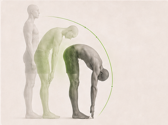 Overlapping figures showing progressively greater range of motion